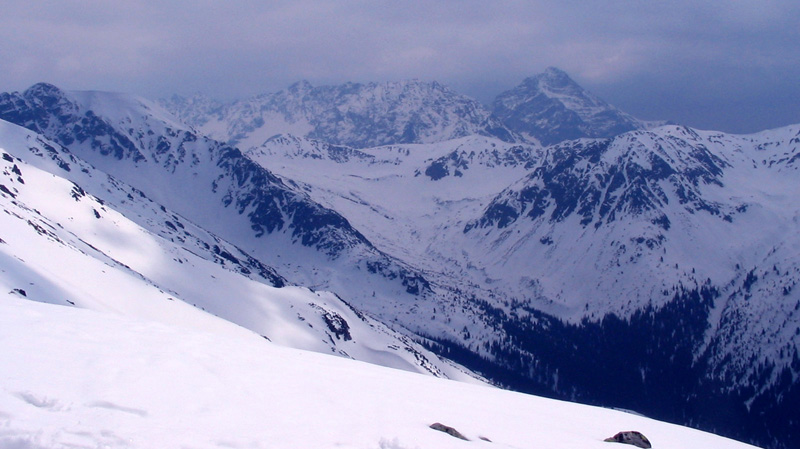 geodezyjna