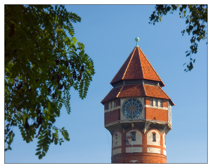 Wieża