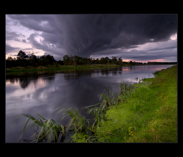 Spłoszona Narew