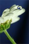 Fragile