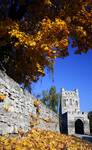 polskie Carcassonne