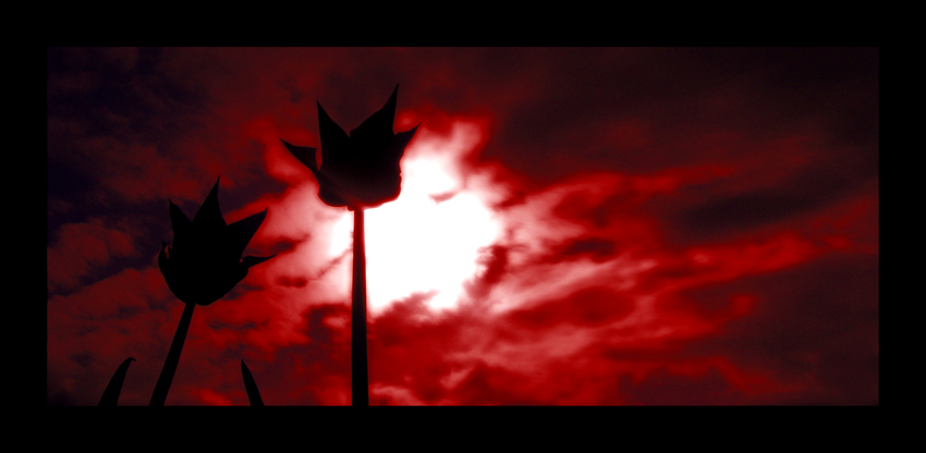 Onami