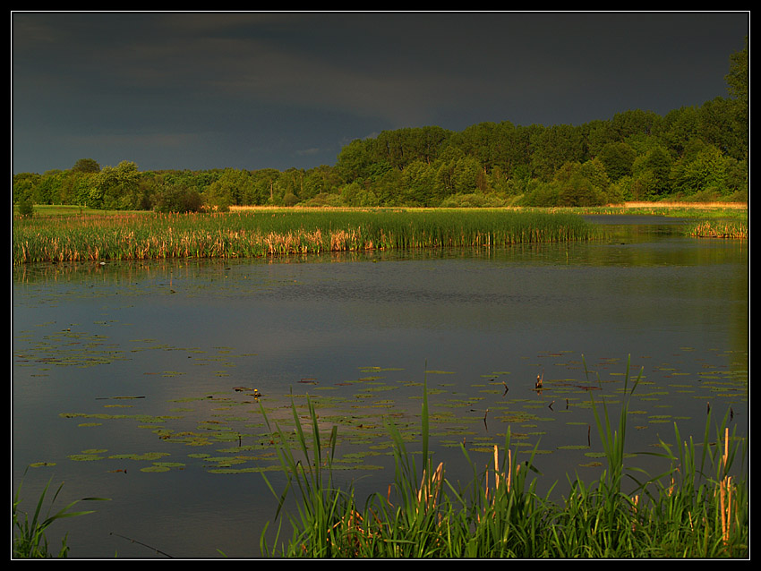 Przed burzą