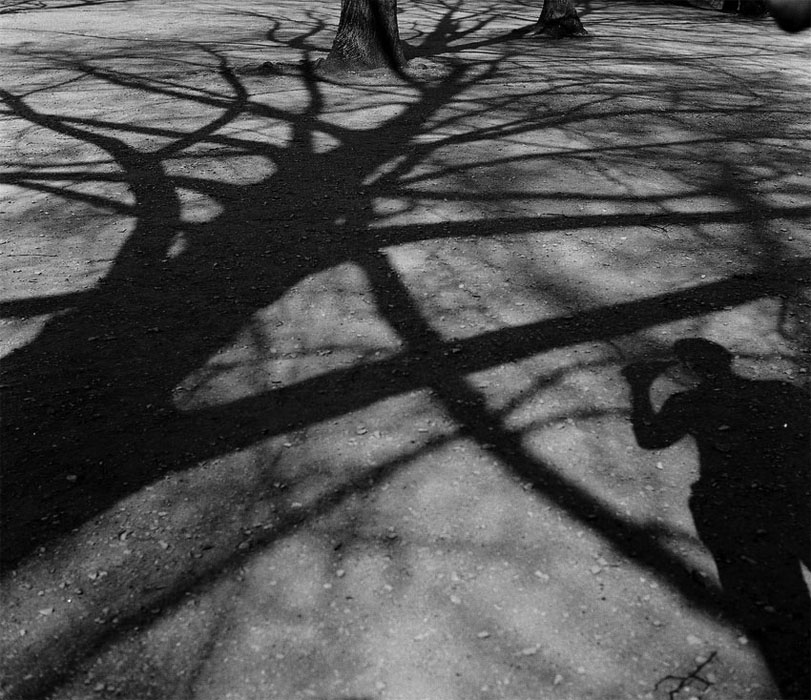 shadows