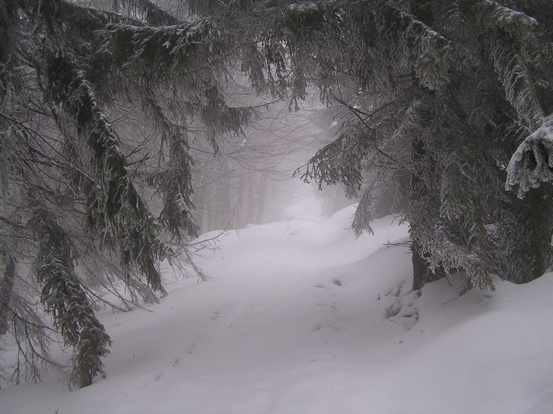 Zima w Beskidach