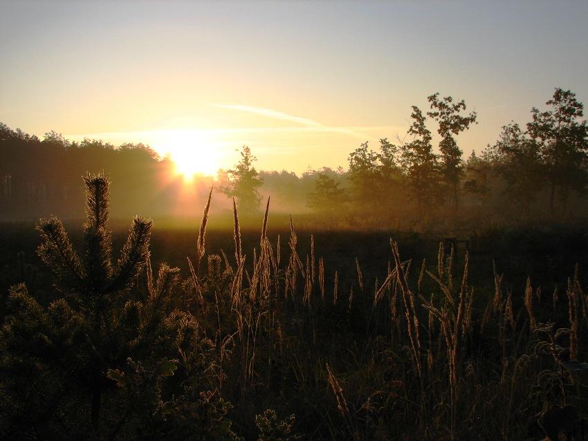 kolejny poranek