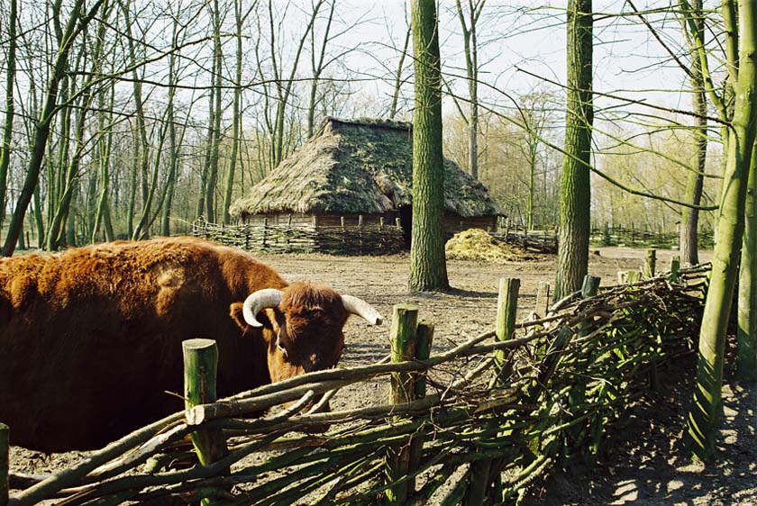 Zagroda