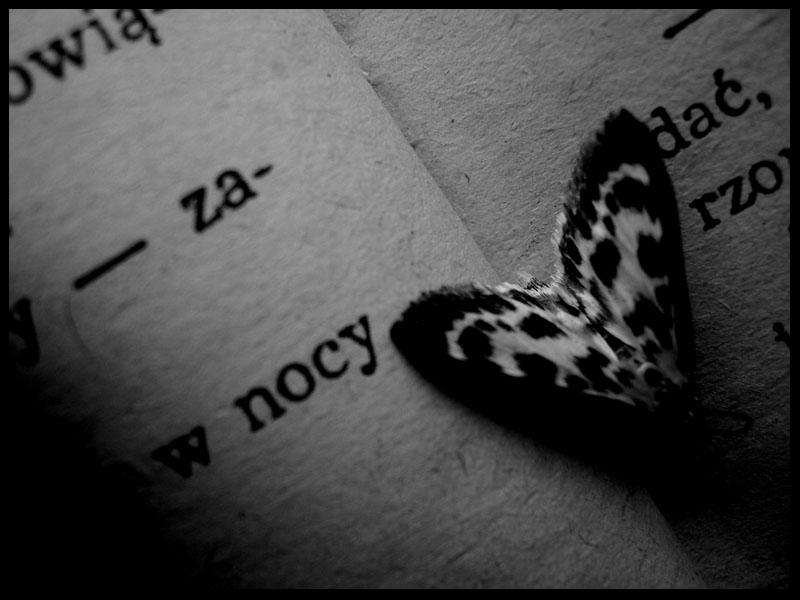 zadać w nocy... (...)