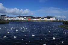 Galway city