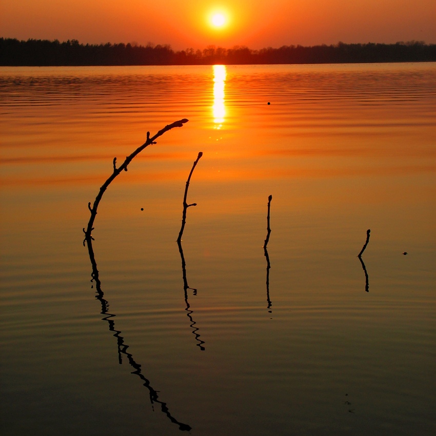 Mały do dużego