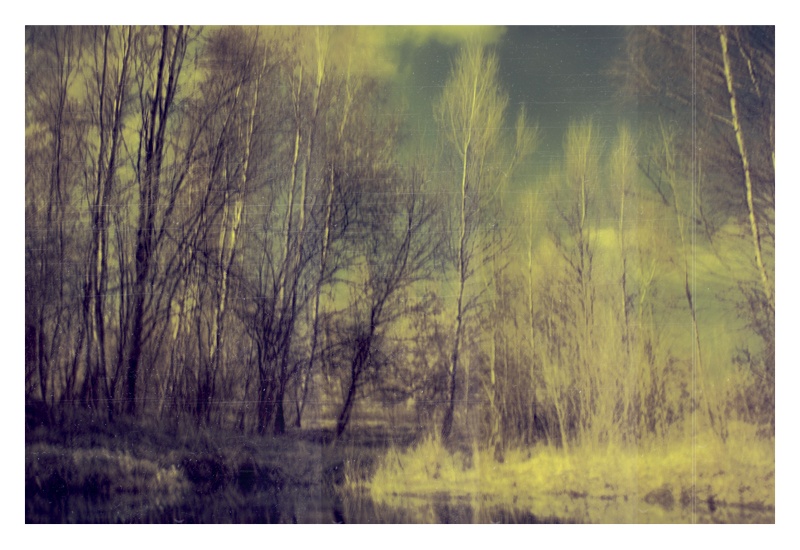 IRidium spring