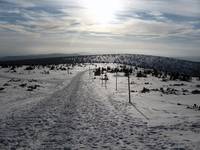 Karkonosze