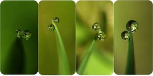 .: Double bubble :.