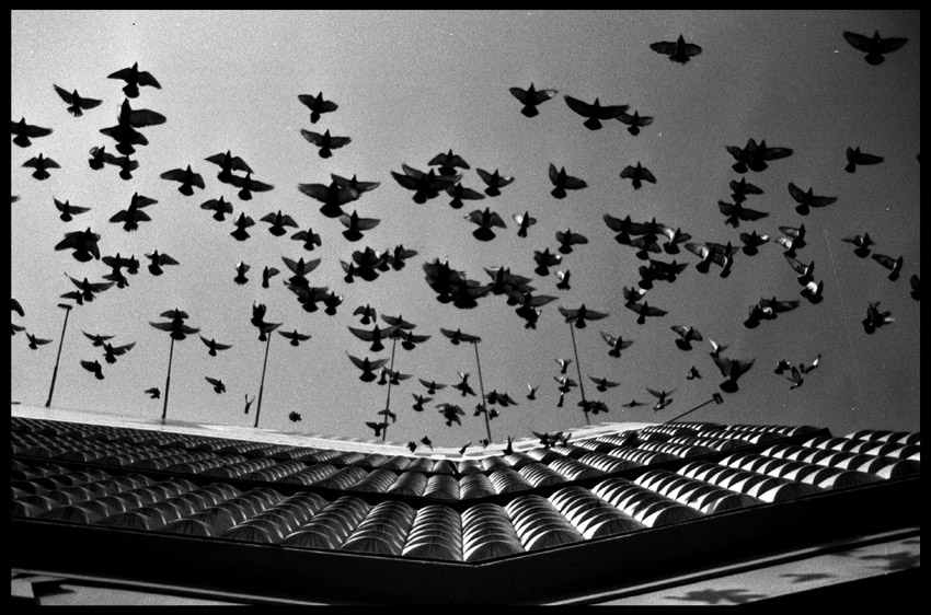 katowice...