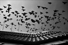 katowice...