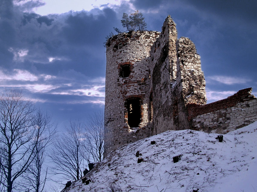 Wieża