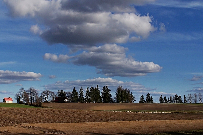 KarmazyNowy