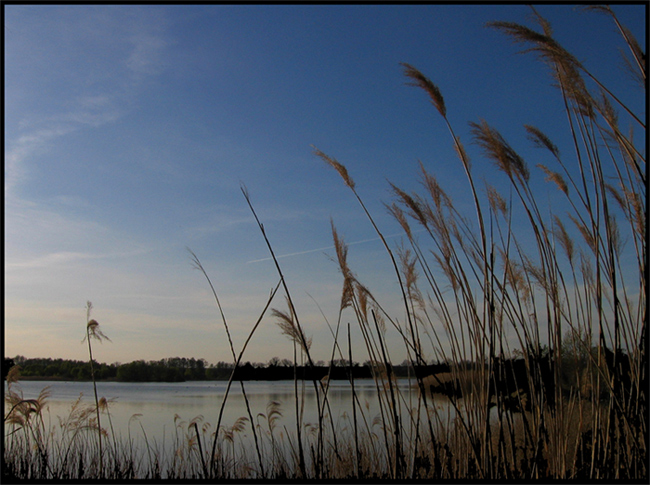 lake