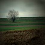 wiosennie #2
