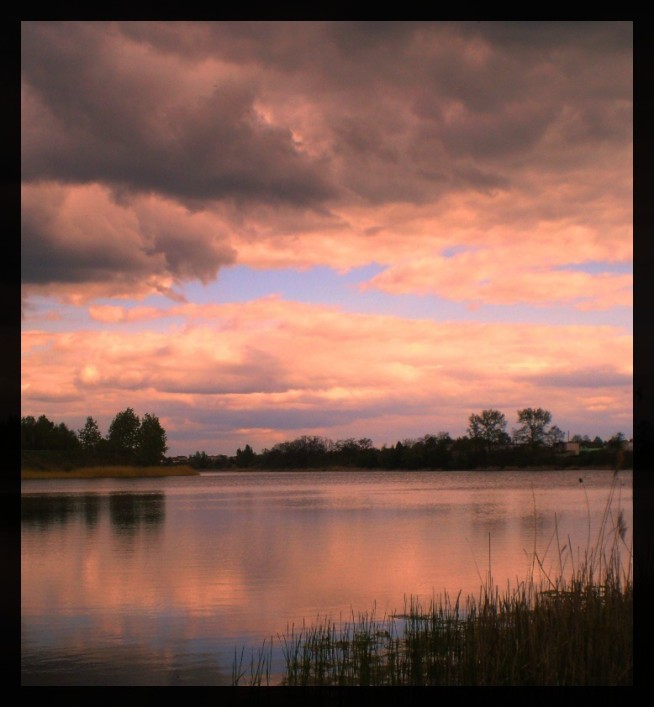 Stęszew
