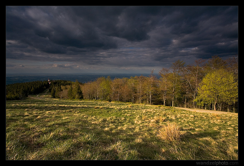 Burza
