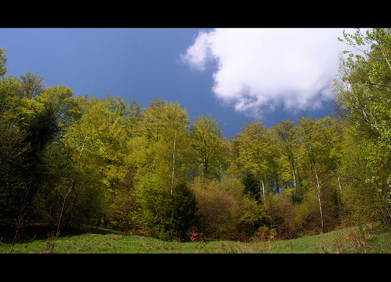 Beskid Sądecki