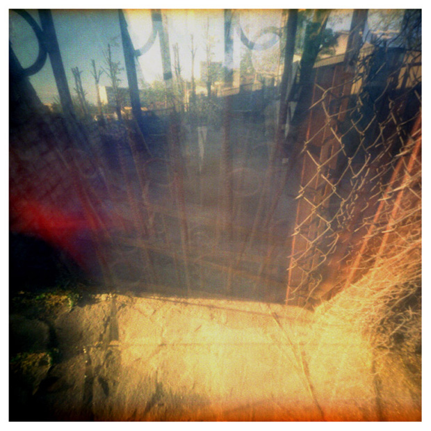 * ( dog\\\\\\\\\\\\\\\'sPossession / scene 2 )