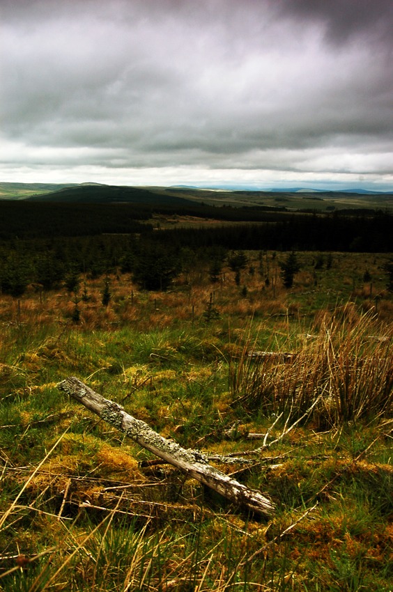 Northumbria w maju