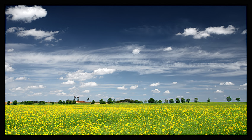 Krajobraz Polski