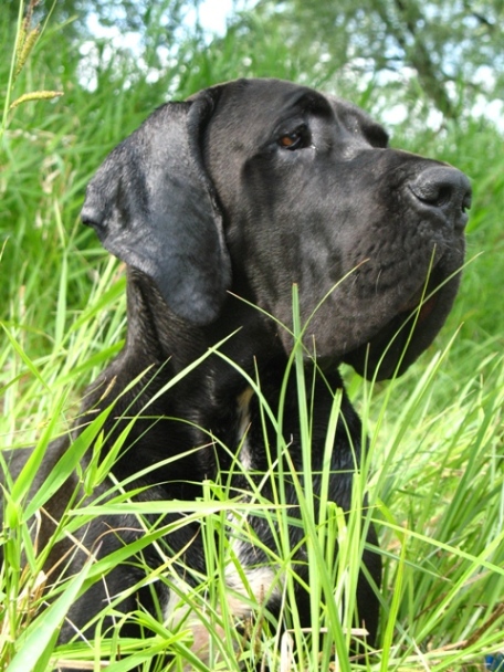 Skupienie
