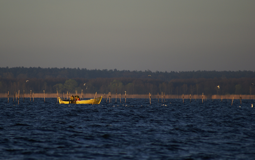 Połowy