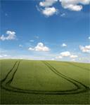 zboze_road