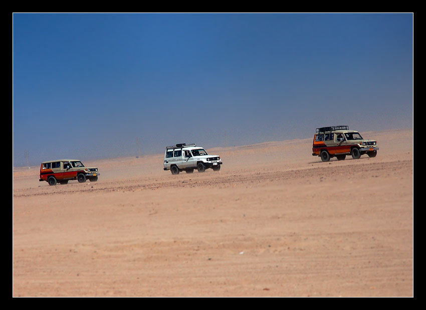 Safari