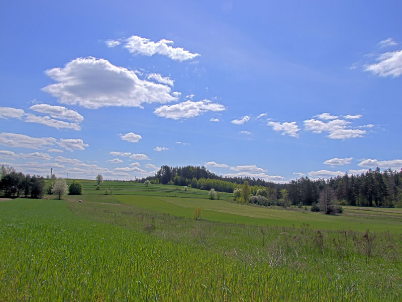 Polana (hdr)