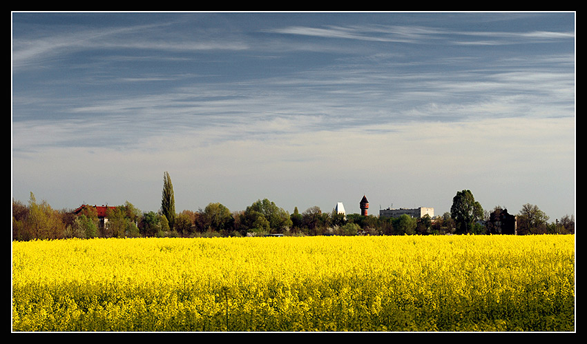 Panorama Brochowa