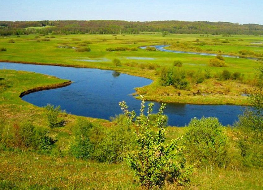 widok z góry Bony