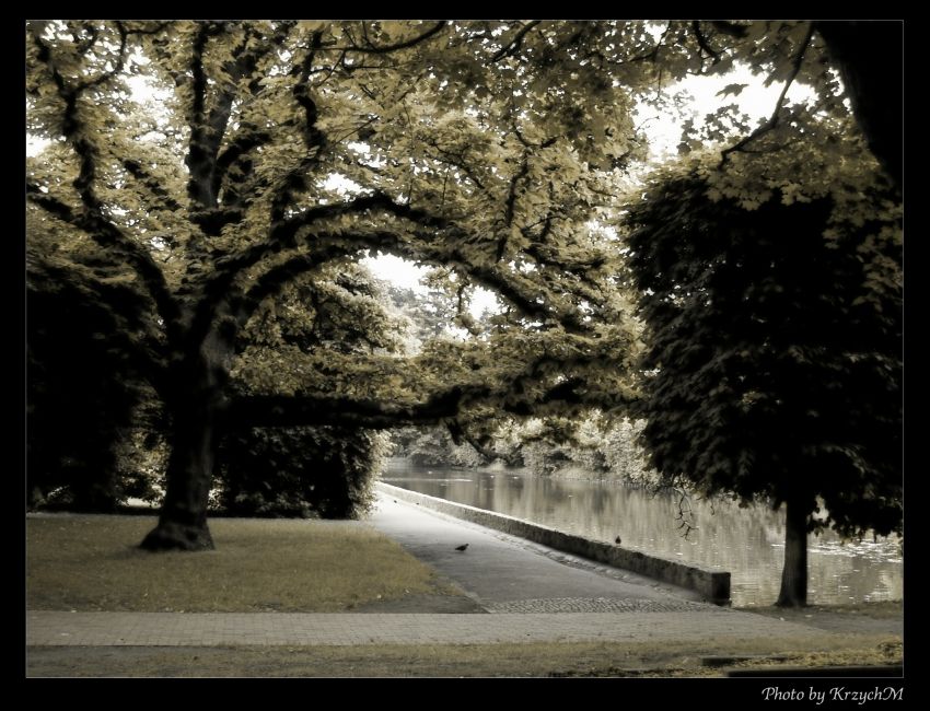 Park II