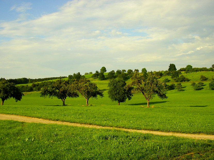 mala wioska Gornhofen