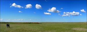 w stepie szerokim... Kazachstan (509mnpm)