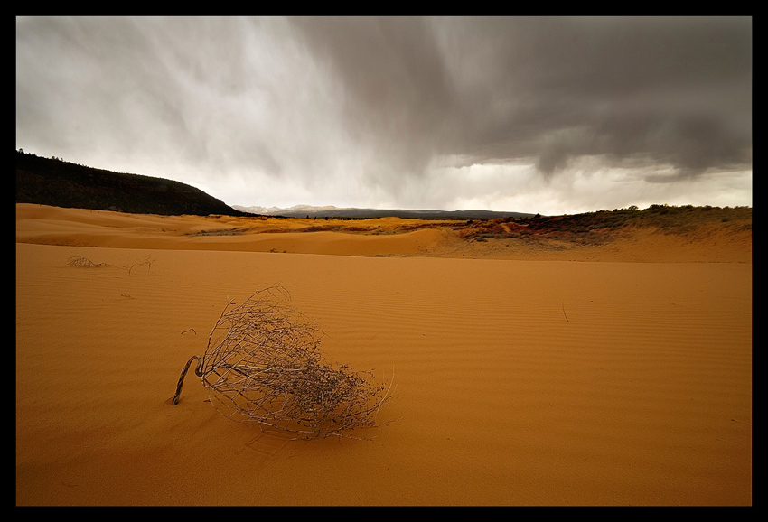 Burza nad Coral Pink Sand Dunes