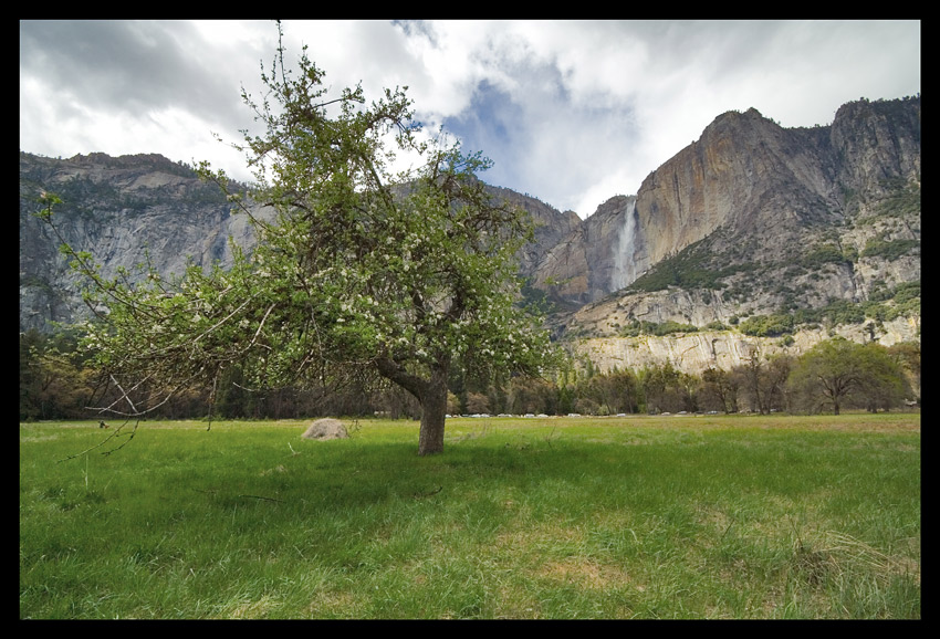 Wiosna w Yosemite