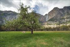 Wiosna w Yosemite