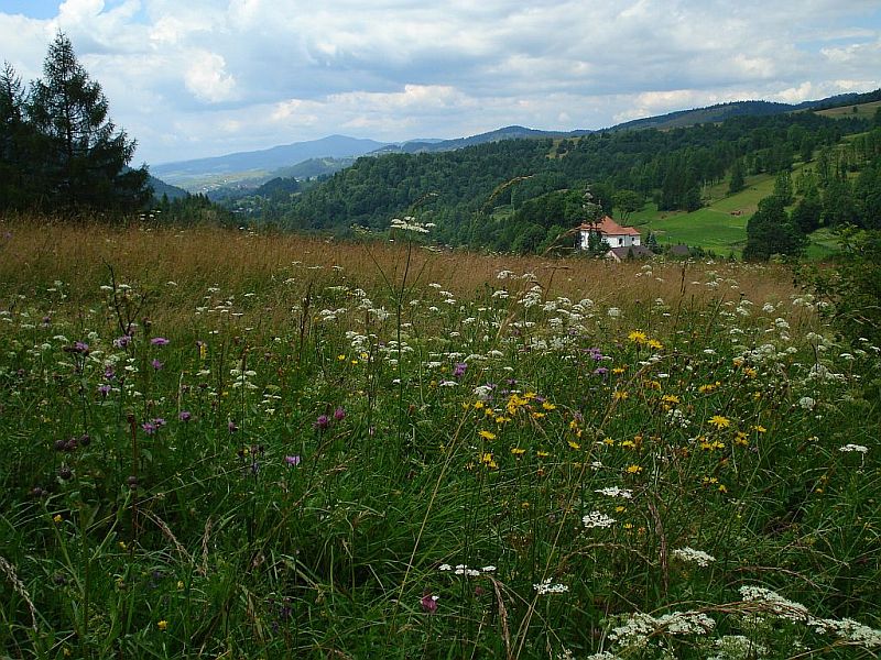 pienińskie pejzaże