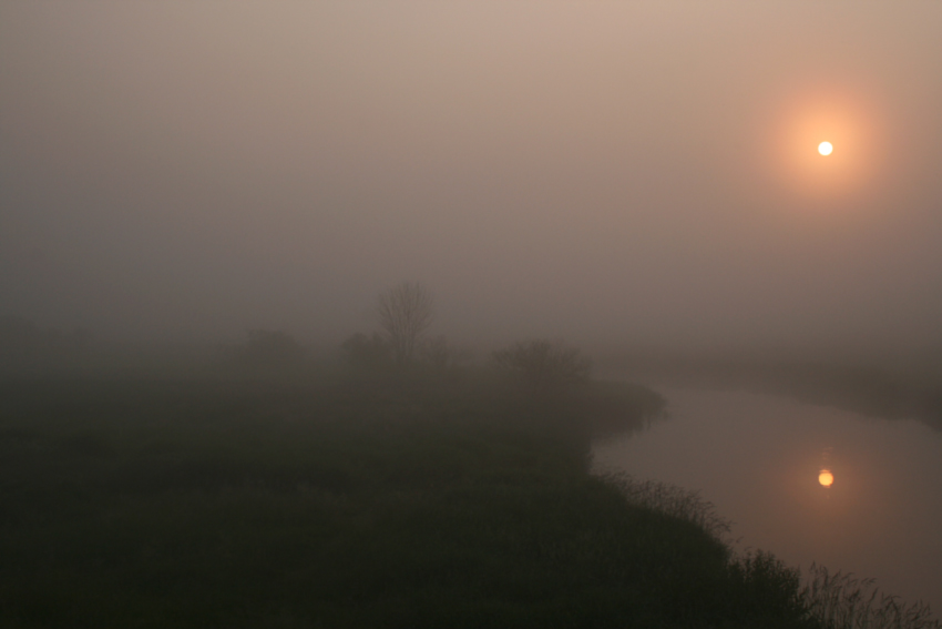 zamglony wschód słońca nad Biebrzą c.d.