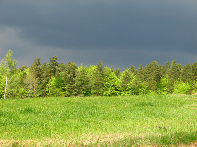przed burzą