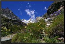 Colours of the Alps