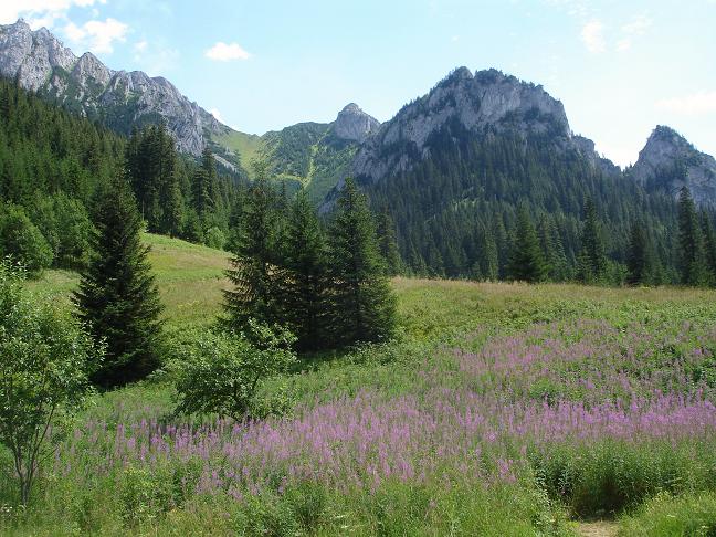 Tatry