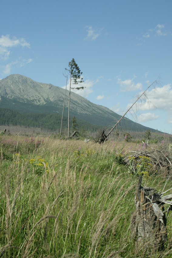 wysokie tatry