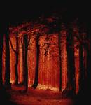 wood of blood