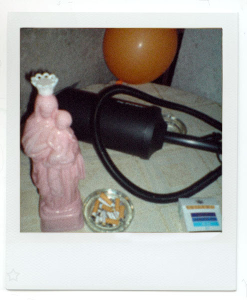 polaroid 29